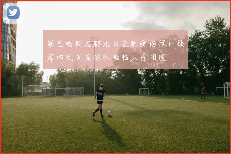 塞巴略斯右腿比目鱼肌受伤预计缺席四到五周球队面临人员困境